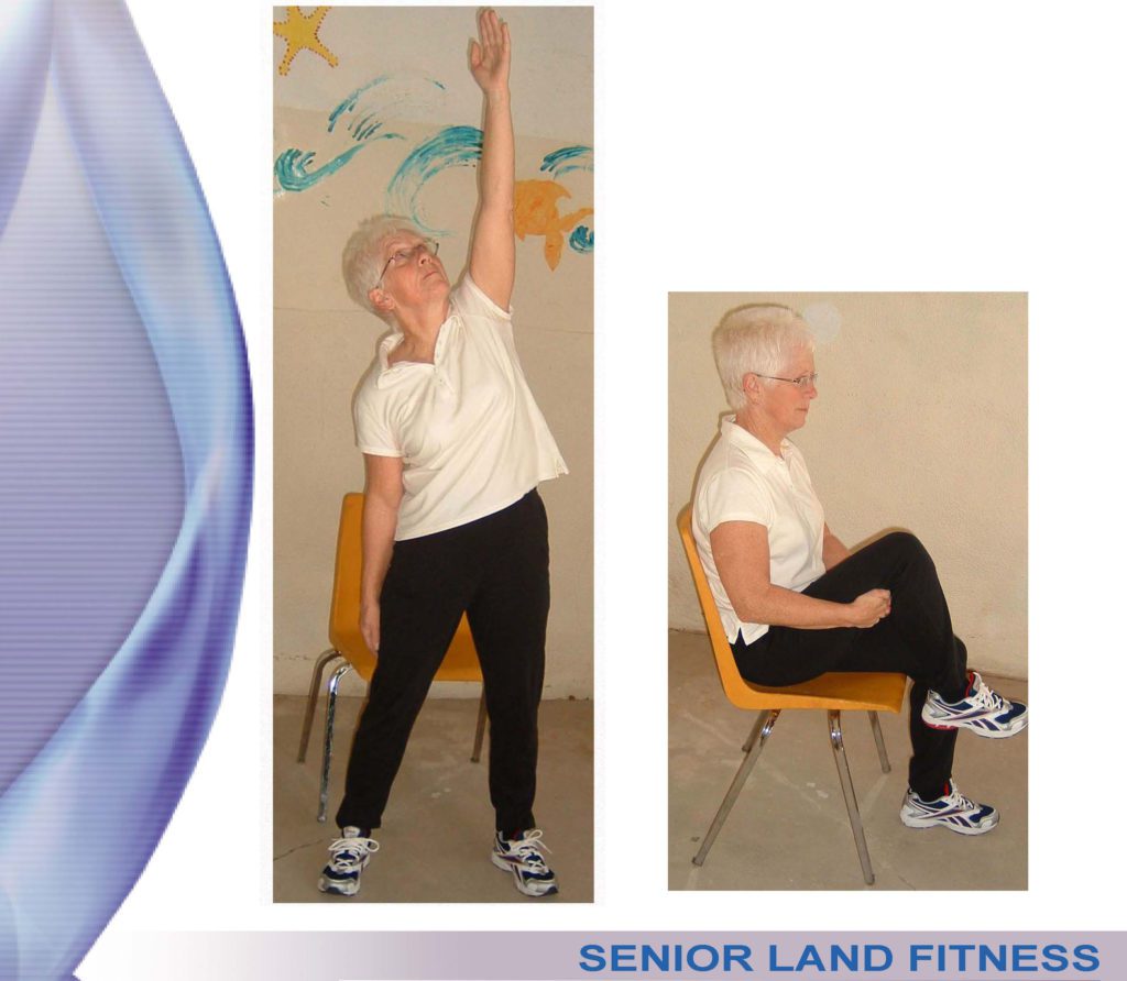 074 - Senior Land Fitness - Aqua Fitness & Land Certification & Education