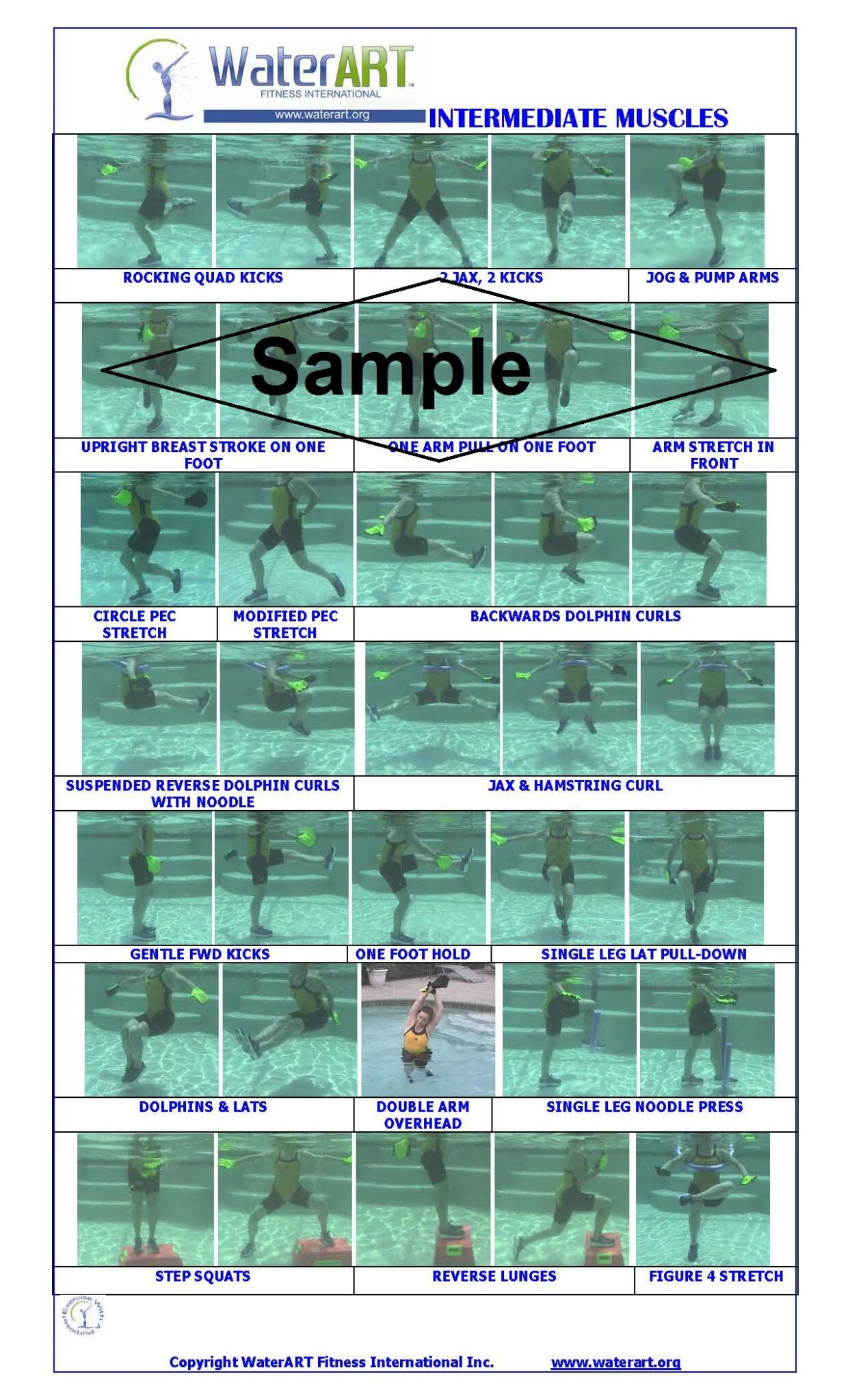 Intermediate Muscles With Noodles Reference Card - Aqua Fitness & Land ...